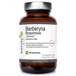 Berberyna fitosomowa z Berbevis® 60kapsułek Kenay cena 89,00zł