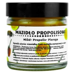 Mazidło propolisowe miód propolis pierzga 60ml Kopiec Zdrowia cena 49,00zł
