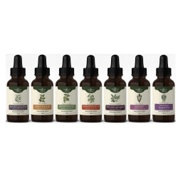 Protokół nalewek wg Buhnera Borelioza Rozszerzony 350ml (7 butelek) Nanga cena 159,00zł