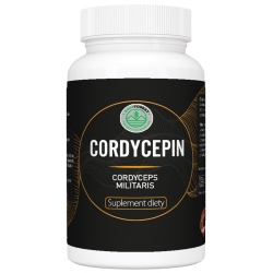Raw Forest Cordycepin (kordyceps) 60kapsułek cena 79,00zł