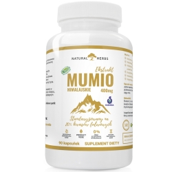 Mumio himalajskie 400mg wegańskie 90kapsułek Alto Pharma cena 44,90zł