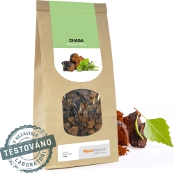 Chaga suszony grzyb 100g MycoMedica cena 49,75zł