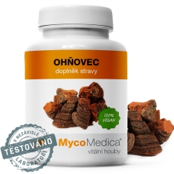 Phellinus linteus 90kapsułek MycoMedica cena 144,75zł