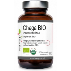 Kenay Chaga Bio Inonotus obliquus 60kapsułek cena 66,90zł