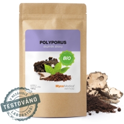Polyporus proszek 100g MycoMedica cena 109,00zł