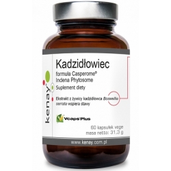 Kenay Kadzidłowiec formula Casperome® Indena Phytosome 60kapsułek PROMOCJA cena 59,90zł